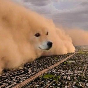 Meet your Posher, Matt